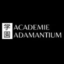 Logo ACADEMIE ADAMANTIUM - 学園