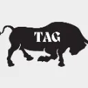 Logo The Accountability Group