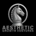 Logo Aesthetic Accelerator