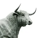 Logo Marcaje al Mercado