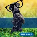 Logo ASA Cool Assistance Dog Skool