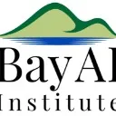 Logo Bay AI <mark>Institute</mark>
