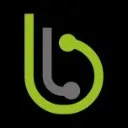 Logo Best<mark>Link</mark> Strategies