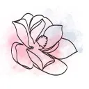 Logo Better Beyond 40 Formula FREE