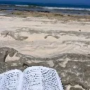 Logo Bible and Burpees Corhort