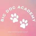 Logo Big Dog <mark>Academy</mark>