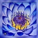 Logo Blue Lotus <mark>Healing</mark> School