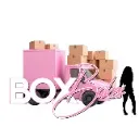 Logo Box Babes Academy