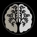 Logo The CIRS Brain Solution
