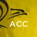 Logo SALES PRO ACCELERATOR 🦅