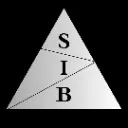 Logo Scaling Info Businesses