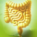 Logo Darmgesundheit