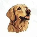 Logo Denver Dog Mas<mark>termin</mark>d