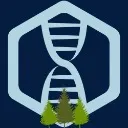 Logo Processus DNA