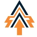 Logo Doctors Online Mastery