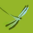 Logo DRAGONFLY ACADEMY