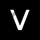 Logo Ecom Viking