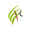 Logo Advocates for Young Men by EFC