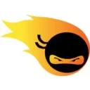 Logo Fat Burning Ninjas