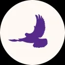 Logo FeedTheBirds.bizz