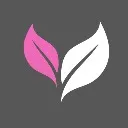 Logo Female Founders Collective VIP