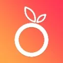 Logo Fruitful Funding