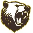 Logo Grizzly Investment