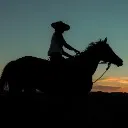 Logo Horse Hub