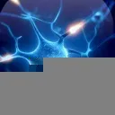 Logo Bioenergetics