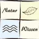 Logo Heilpraktiker Masterclass