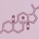 Logo The Hormone Hub