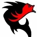 Logo HOW TO FISH