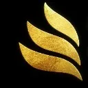 Logo Image Fitness Training Global