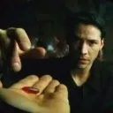 Logo The Red Pill Brotherhood