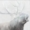 Logo Jäger der neuen Zeit I Jagd
