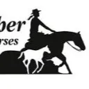 Logo Julie Richer - Équ<mark>it</mark>ation