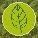 Logo Kratom Real Talk