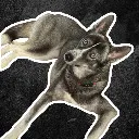 Logo Leash-Free Lounge