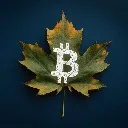 Logo Maple Bitcoin