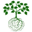 Logo Migraine Reset & Rewire System