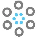 Logo Virtual MSK Fellowship