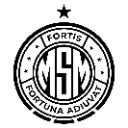 Logo <mark>MSM</mark> Performance Academy