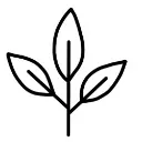 Logo Natural Psoriasis <mark>Protocol</mark>