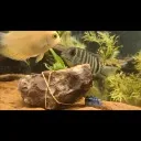 Logo Nature's Slice: Aqua-Therapy