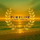 Logo Pure Life Mindset