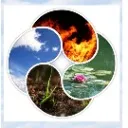 Logo Qi  Flow