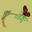 Logo Von der 🐛 zum 🦋