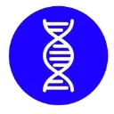 Logo <mark>Rebuild</mark> Strength