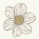 Logo Rooted In Wellness