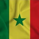 Logo Salif Diallo